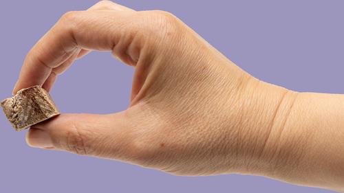 Lamb Heart Bites Freeze-Dried Dog Treats, 3.5-oz bag