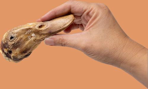 Whole Duck Heads Dehydrated Dog Treats, 3 count