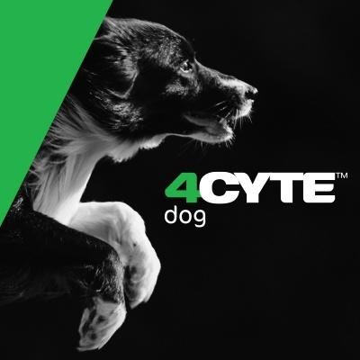 Epiitalis Forte Liquid Joint Supplement for Dogs, 100-mL bottle