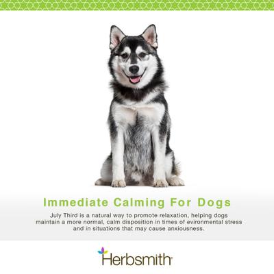 July Third Large Chew Calming Supplement for Dogs, 30 count