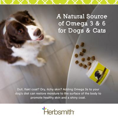 Glimmer Small Chew Skin & Coat Supplement for Dogs, 60 count