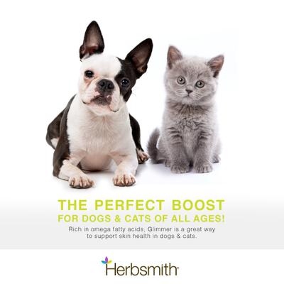 Glimmer Small Chew Skin & Coat Supplement for Dogs, 60 count