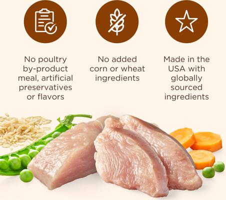 Whole Health Blend Chunks in Gravy Turkey, Brown Rice, Peas & Carrots Canned Dog Food, 13-oz can, case of 12