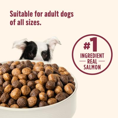 Alimento seco para perros Whole Health Blend con salmón real, verduras y arroz integral, digestión suave, bolsa de 13 lb