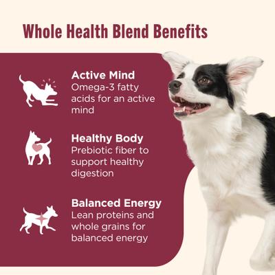 Alimento seco para perros Whole Health Blend con salmón real, verduras y arroz integral, digestión suave, bolsa de 13 lb