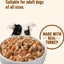 Whole Health Blend Chunks in Gravy Turkey, Brown Rice, Peas & Carrots Canned Dog Food, 13-oz can, case of 12