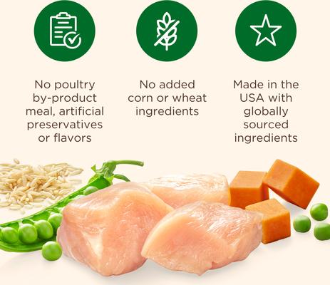 Whole Health Blend Chunks in Gravy Real Chicken & Veggies Dog Wet Food, 13-oz can, 12 count