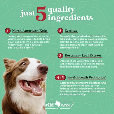 Advanced Dental Greens Powder Supplement for Dogs, 2.5-oz jar