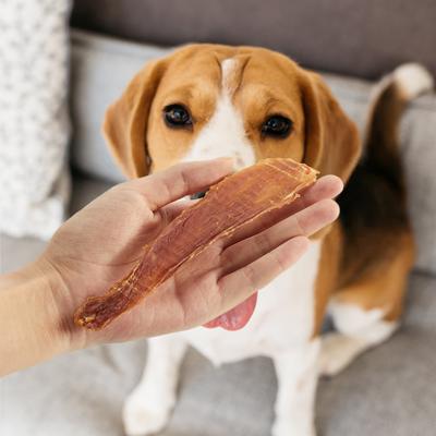 Slow Roasted Duck Jerky Dog Treats, 10.6-oz bag