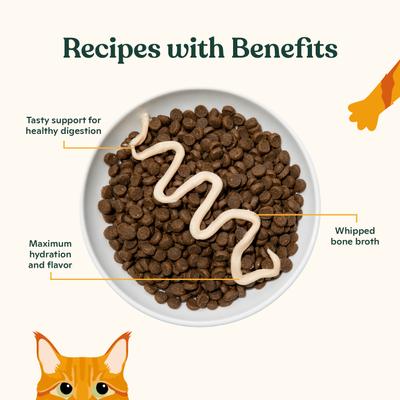 Digestive Support with Bone Broth Mousse Grain-Free Lickable Cat Treat, 0.5-oz tube, 12 count