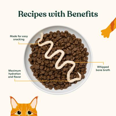 Duo Mousse Chicken & Salmon Recipe Grain-Free Lickable Cat Treat, 0.5-oz tube, 12 count
