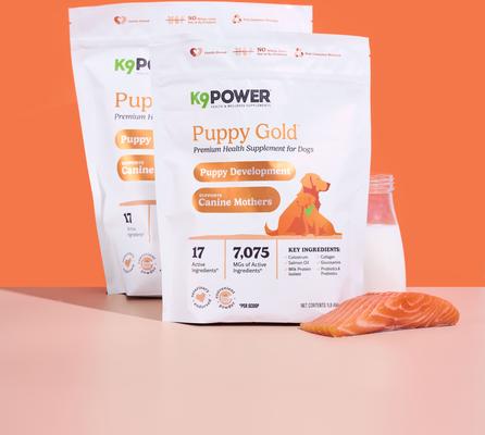 Puppy Gold Nutritional Dietary Puppy Supplement, 1-lb