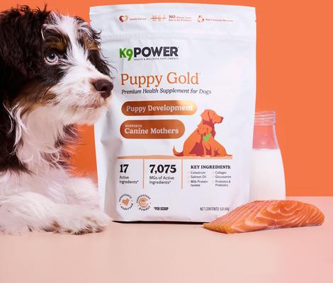 Puppy Gold Nutritional Dietary Puppy Supplement, 1-lb