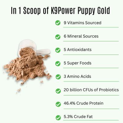 Puppy Gold Nutritional Dietary Puppy Supplement, 1-lb
