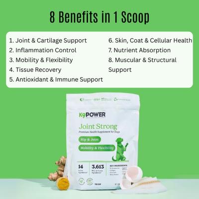 Joint Strong Joint Health & Mobility Dog Supplement, 1-lb