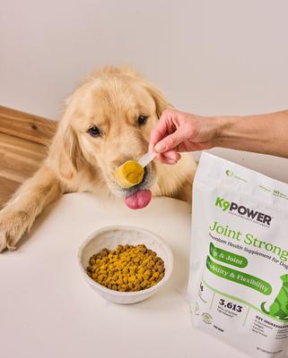 Joint Strong Joint Health & Mobility Dog Supplement, 1-lb