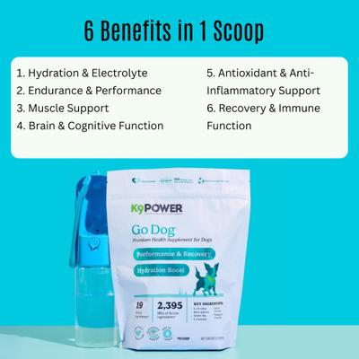 Go Dogs Vitamin Supplement for Dogs, 1-lb