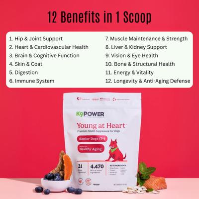 Young At Heart Nutritional Senior Dog Supplement, 1-lb