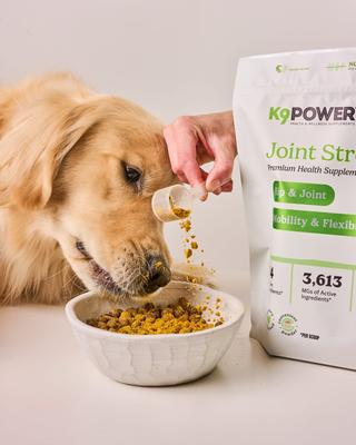 Joint Strong Joint Health & Mobility Dog Supplement, 1-lb