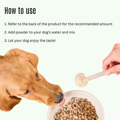 Go Dogs Vitamin Supplement for Dogs, 1-lb