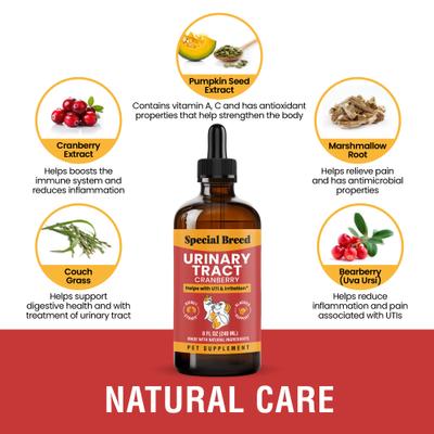 Suplemento para el tracto urinario con sabor a arándano para perros y gatos, botella de 8 onzas líquidas