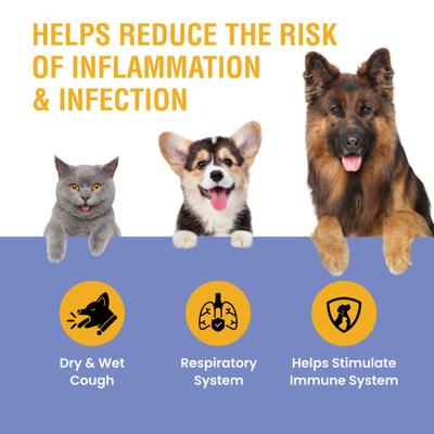 Respiratory & Cold Cough Supplement for Dogs & Cats, 2-fl oz bottle