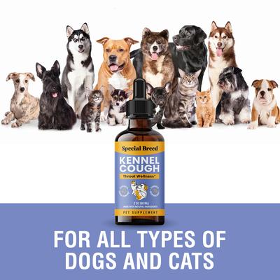 Respiratory & Cold Cough Supplement for Dogs & Cats, 2-fl oz bottle