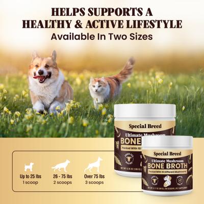 Bone Broth Beef & Mushroom Flavored Supplement for Dogs & Cats, 3.17-oz
