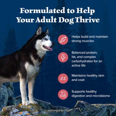 Bundle: Blue Buffalo Wilderness Variety Pack: Salmon Recipe Adult High-Protein Grain-Free Dry Food, 24-lb bag + Salmon & Chicken High-Protein Grain-Free Adult Canned Food, 12.5-oz, case of 12 + Trail Treats Grain-Free Salmon Biscuits Dog Treats, 24-oz bag