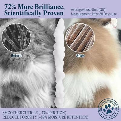 Champú seco para gatitos Pretty Kitty, aroma a lavanda y vainilla, botella de 6,75