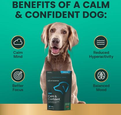 Composure Bacon Flavored Chews Calming Supplement for Dogs, 120 count