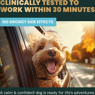 Composure Bacon Flavored Chews Calming Supplement for Dogs, 120 count