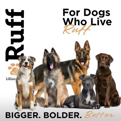 Champú de avena para mascotas, aroma de sándalo y ámbar, botella de 473 ml (16 onzas líquidas)