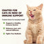 Feline Immune Booster Unflavored Liquid Supplement for Cats, 8-fl oz bottle