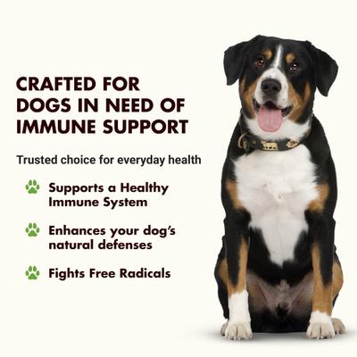 K9 Immune Booster Unflavored Liquid Supplement for Dogs, 8-fl oz bottle, 2 count