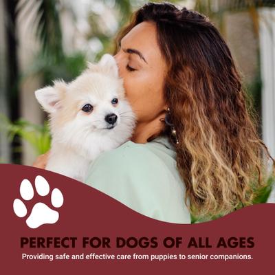 K9 Immune Booster Chicken Flavor Liquid Supplement for Dogs, 8-fl oz bottle, 2 count