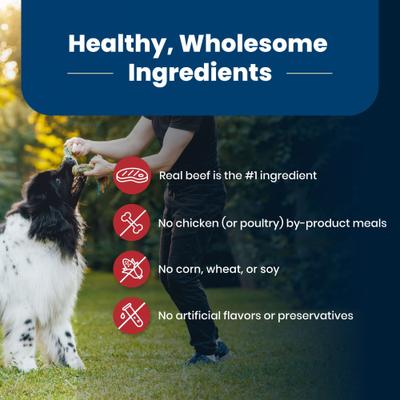 Life Protection Formula Adult Beef & Brown Rice Recipe Dry Dog Food, 24-lb bag