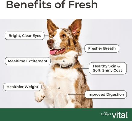Vital Healthy & Natural Large Breed Fresh Dog Food, 5-lb bag
