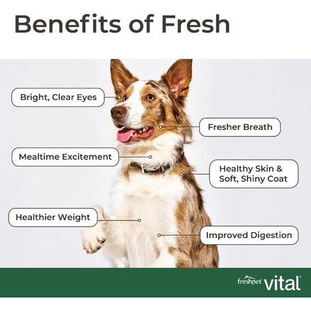 Alimento fresco para perros de razas grandes Vital Healthy & Natural, bolsa de 5 lb
