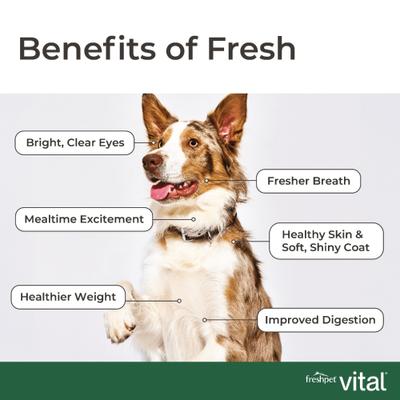 Vital Healthy & Natural Large Breed Fresh Dog Food, 10-lb bundle
