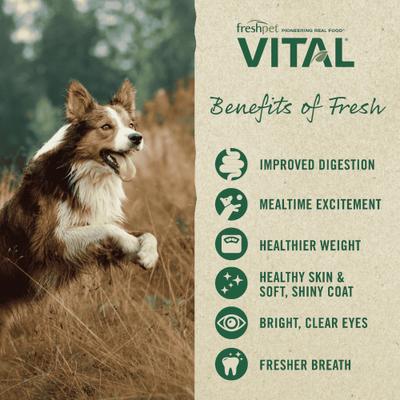 Bundle: Variety Pack - Freshpet Vital Multi Protein, 5.5-lb bag + Fresh Cuts Chicken Recipe Fresh Dog Food, 4.5-lb bag