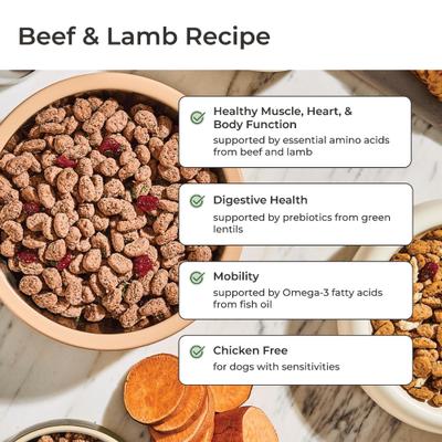 Vital Beef & Lamb Grain-Free Fresh Dog Food, 11-lb bundle