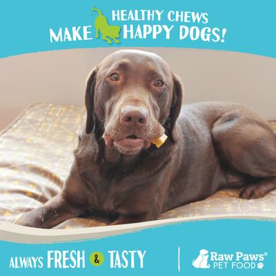 Himalayan Yak Dog Chews, Medium, 3 count