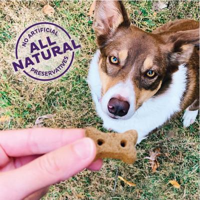 by Wellness Mother's Solutions Hip & Joint Natural Oven-Baked Biscuits Dog Treats, 20-oz bag
