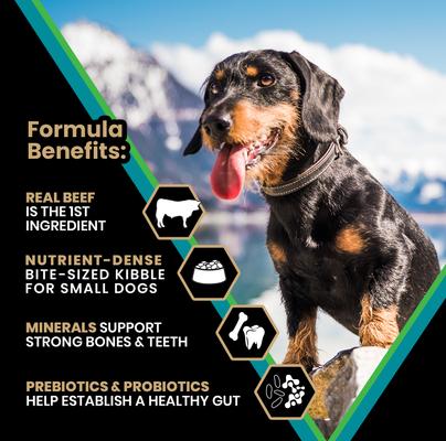 Classic Hi-Pro Plus Small Breed Adult Dry Dog Food, 5-lb bag