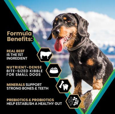 Classic Hi-Pro Plus Small Breed Adult Dry Dog Food, 5-lb bag