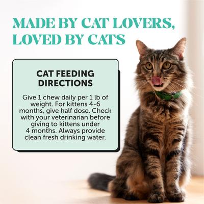 Fresh Breath Chicken Flavor Dental Bites Supplement for Cats, 3.7-oz pouch