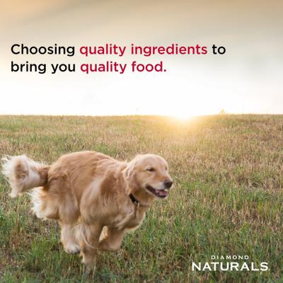 Naturals Small Breed Adult Chicken & Rice Formula Dry Dog Food, 18-lb bag