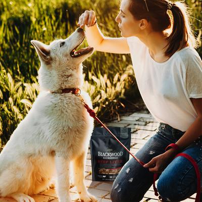 Single Ingredient 100% Beef Liver Grain-Free Adult Freeze-Dried Dog Treats, 3-oz bag