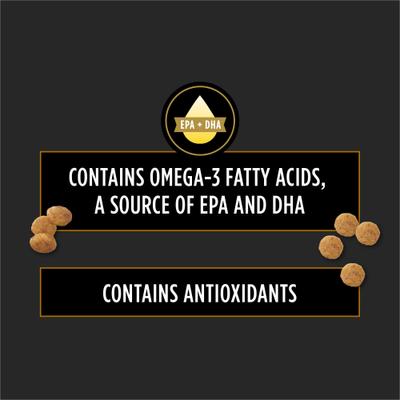 NF Kidney Function Early Care Dry Cat Food, 8-lb bag